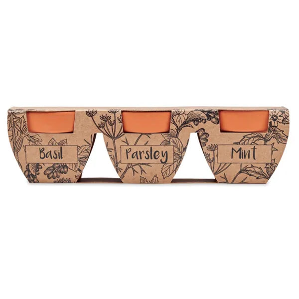 Kruidenkweekset met drie terracotta potjes, Bruin - 196145