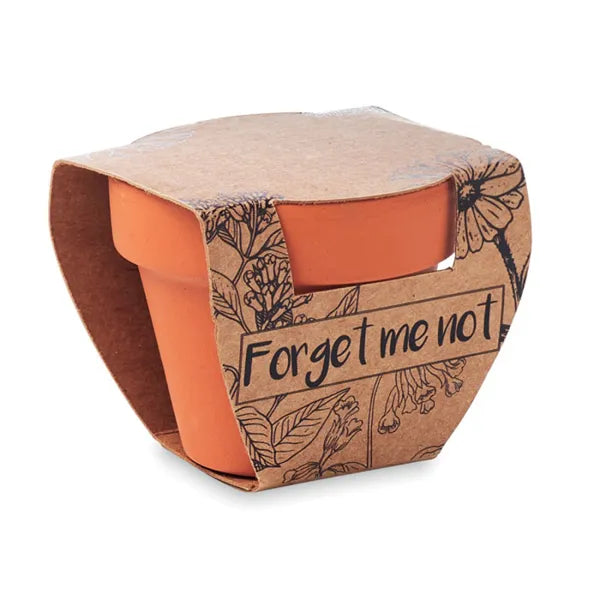 Vergeet-mij-nietjes kweekset in terracotta potje, Terracotta - 196146