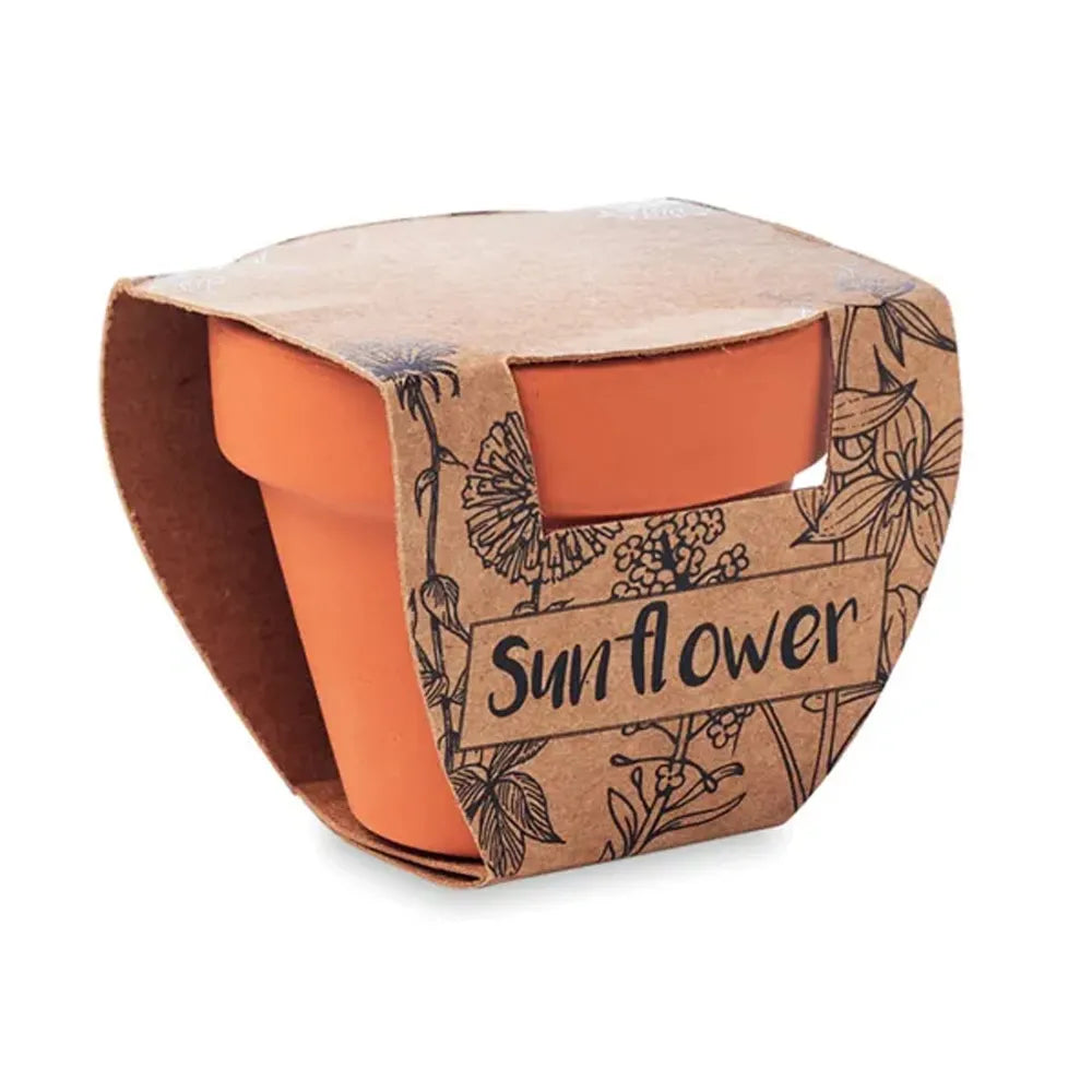 Zonnebloemen kweekset in terracotta potje, Terracotta - 196147