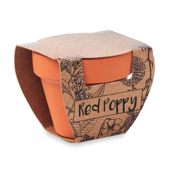 Klaprozen kweekset in terracotta potje, Terracotta - 196148