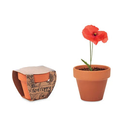 Terracotta pot mini red poppy 196148