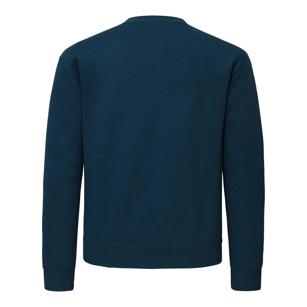 Sweatshirt in blauw kleur, rugzijde, klassieke pasvorm van katoen en polyester – artikel 24F276