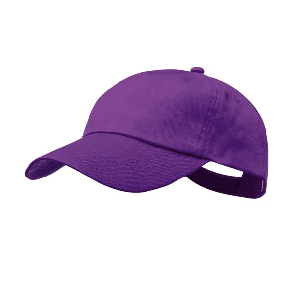 Paarse Baseball Pet 4 178072