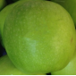 Appels bedrukken | Bedrukt fruit | Groene appel