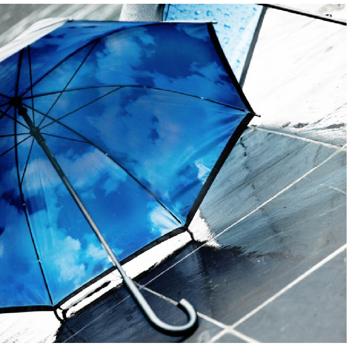 Handmatige paraplu | 8 Panelen | Bedrukte binnenzeide