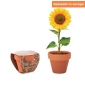Terracotta pot | Mini | Sunflower