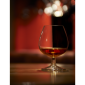 Cognacglas | 370 ml | Royal Leerdam